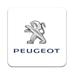 Bordskånere Til Glas>2 STK Peugeot Coastere