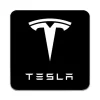 Bordskånere Til Glas>2 STK Tesla Coastere