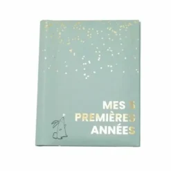 Album Domiva Mes 5 premieres annees