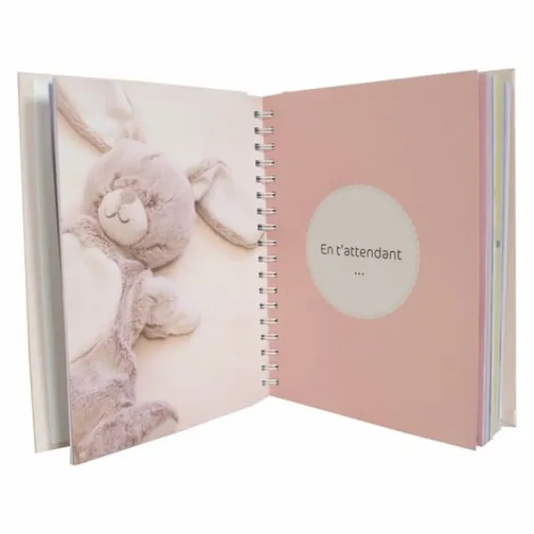 Album Domiva Mes 5 premieres annees