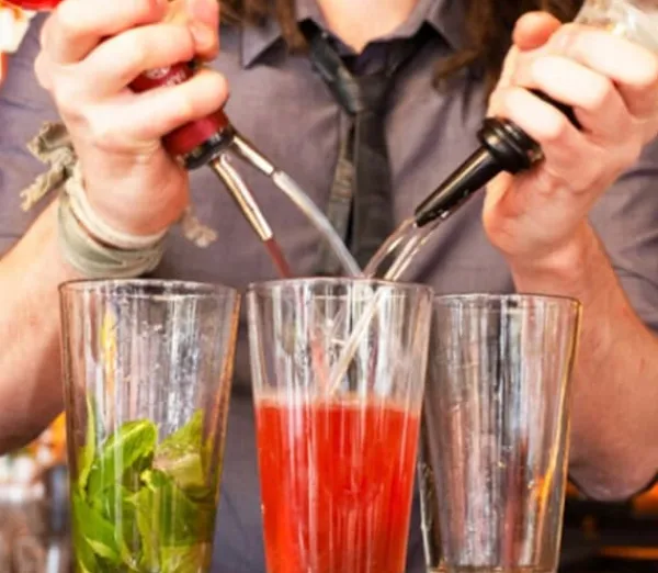 Flaskepropper>ALKOHOLDISPENSER TIL VIN- OG VODKAFLASKER