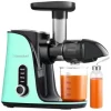 Juicepresser - Nyd Friskpresset Juice Derhjemme>AMZCHEF GM3001-GN slow speed juicer (grøn)