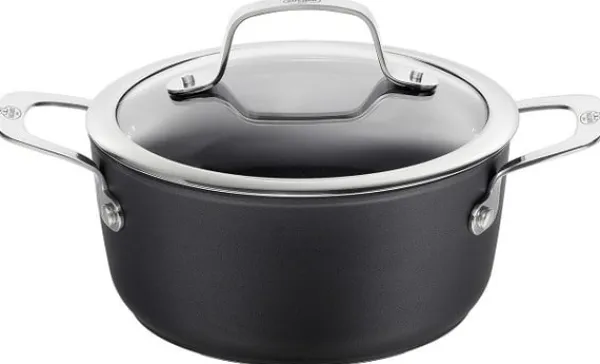 Gryder, Stegepander Og Kasseroller>BALLARINI Alba gryde med låg titanium 2,7 L ALBG2LD.20D