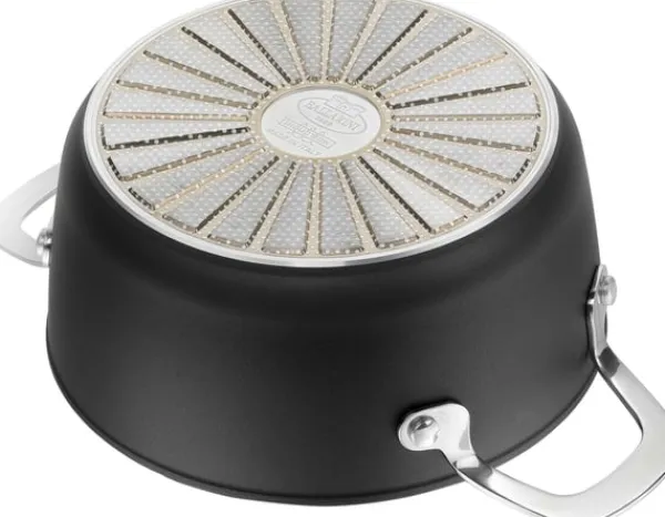 Gryder, Stegepander Og Kasseroller>BALLARINI Alba gryde med låg titanium 2,7 L ALBG2LD.20D