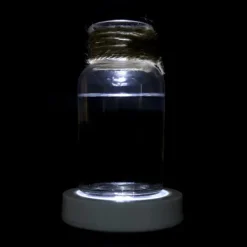 Bordskånere Til Glas>Bordskåner til vinflasker med skiftende LED-lys, hvid skal, hvidt lys, ingen batterier inkluderet