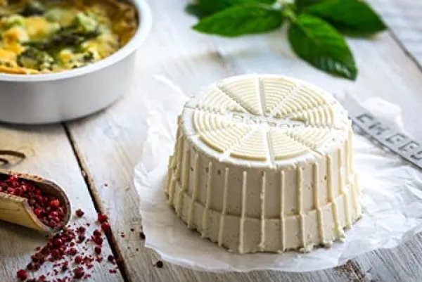 Yogurtmaskiner>Borner Cheesemaker & Multimaker med frisk låg, sigte salatskål serveringsskål, lav din egen flødeost hjemme grøn