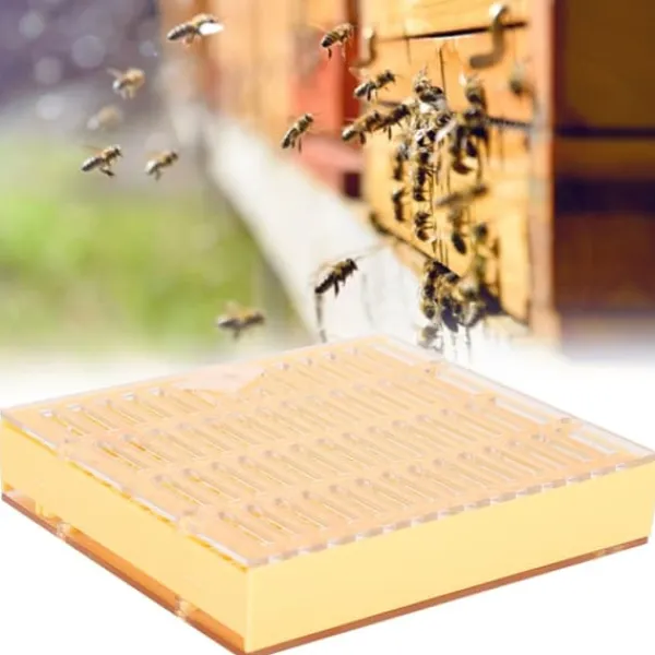 Honningkrukker>Bærbar Bee King-inkubator - Et sikkert og effektivt biavlsværktøj