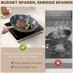 Bærbar induktionskogeplade, 1 zone – 2000 W, 10 effekt-/temperaturindstillinger, timer, børnesikring, sort Discount