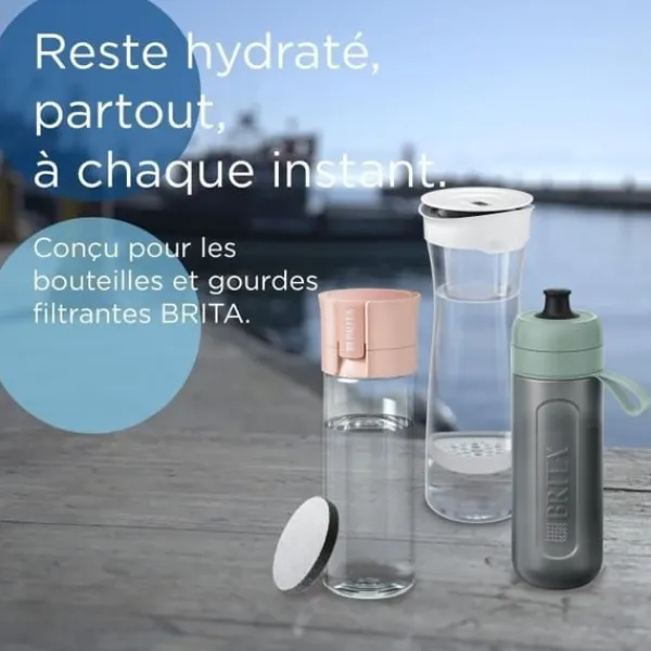 BRITA Cartridge - MicroDisc - Pakke med 9 - 1 filter = 1 måneds filtrering Discount