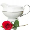 Serveringsfad & Skåle>CHODZIEŻ PORCELÆNSAUCE BÅD 500ML ASTRA DREAM PLATINUM POLISK PRODUKT