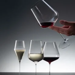 Definition Wine glass Burgundy 96cl, 6-pack - Spiegelau Best