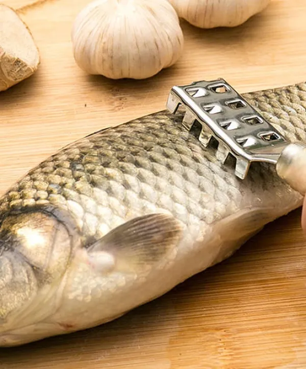 Køkkenskrabere>Fiskefjælsskraber/Fiskefjæller - Rustfrit Stål Flad Grov