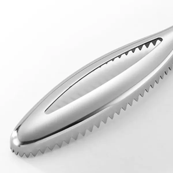 Fiskeskæl Rengøringsbørste Meget Effektiv Multifunktionel Rustfrit Stål Ergonomisk Fiskeskælfjerner Til Køkken Clearance