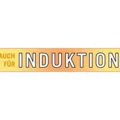 Frituregryde - GSW - 488204 - Induktion - 22 cm - Glaslåg - Rustfrit stål Online