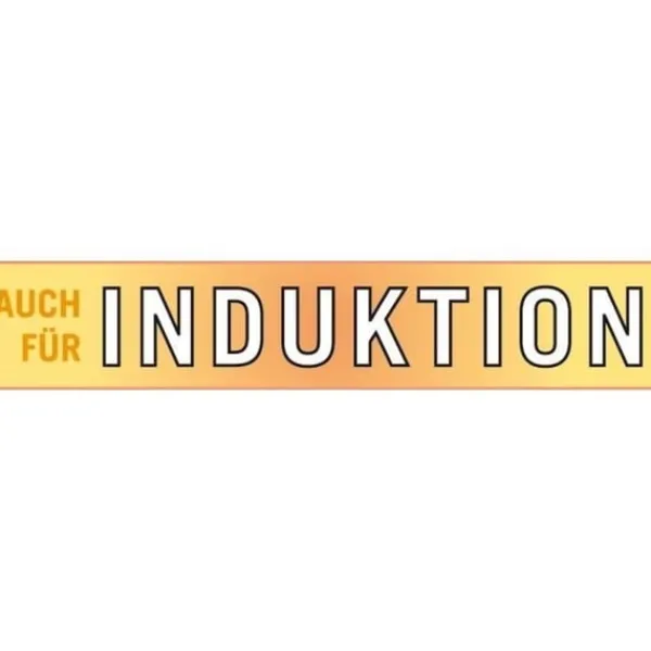 Frituregryde - GSW - 488204 - Induktion - 22 cm - Glaslåg - Rustfrit stål Online