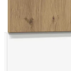 Integreret opvaskemaskinepanel
