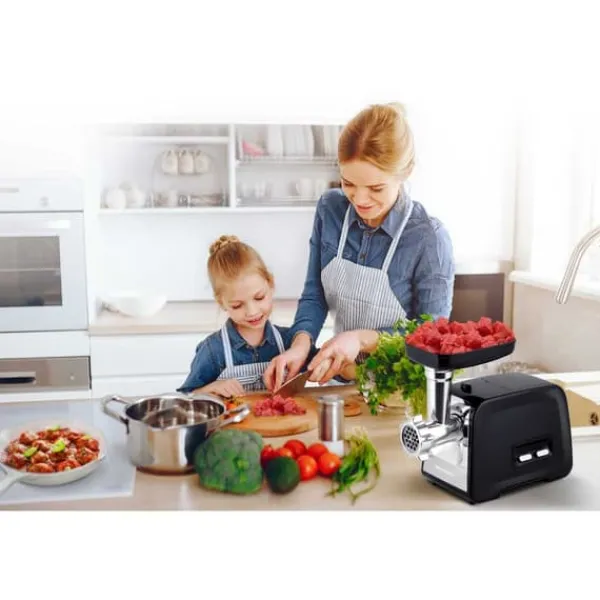 Madkværne & Kødhakker>Kødhakker BD-601A Berdsen 450/1200W