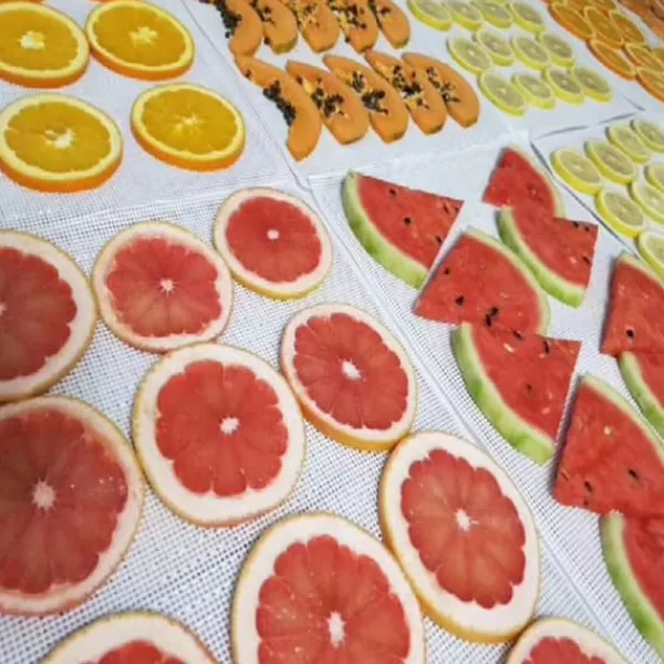 Køkken Non-stick Silikone Dehydrator Ark til Frugt Genanvendelige Mad Dehydrator Ark Tørretumbler Net Discount