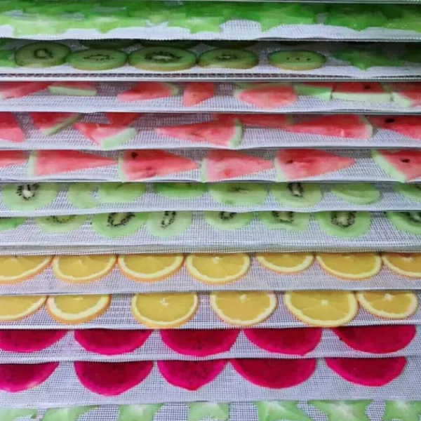 Køkken Non-stick Silikone Dehydrator Ark til Frugt Genanvendelige Mad Dehydrator Ark Tørretumbler Net Discount