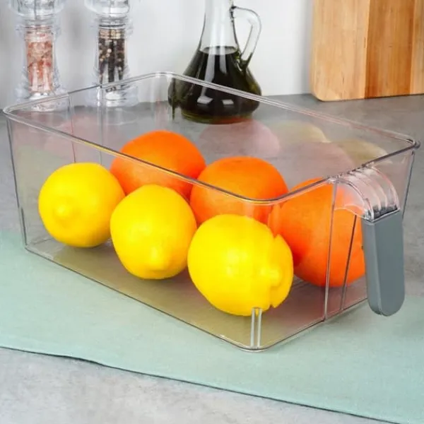 Køleskabsbeholder med håndtag 31x18x11,5cm FREMSTÆNDIG EL 229185 Best