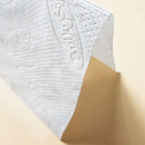 Økologisk papirhåndklæde i ark, kort, 21x21 cm, foldet, ZZ V-FOLD, 3000 stk., hvid, 2 lag Online