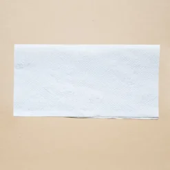 Økologisk papirhåndklæde i ark, kort, 21x21 cm, foldet, ZZ V-FOLD, 3000 stk., hvid, 2 lag Online