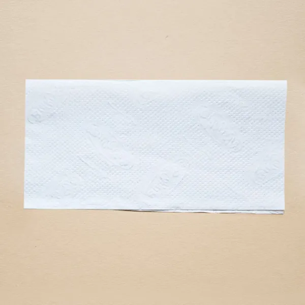Økologisk papirhåndklæde i ark, kort, 21x21 cm, foldet, ZZ V-FOLD, 3000 stk., hvid, 2 lag Online