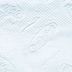 Økologisk papirhåndklæde i ark, kort, 21x21 cm, foldet, ZZ V-FOLD, 3000 stk., hvid, 2 lag Online