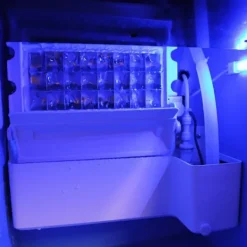 Kommerciel isterningmaskine i rustfrit stål 40 kg/24 timer Restaurant Bar Cafe Hotel IceMaker / GRATIS isknuser Online