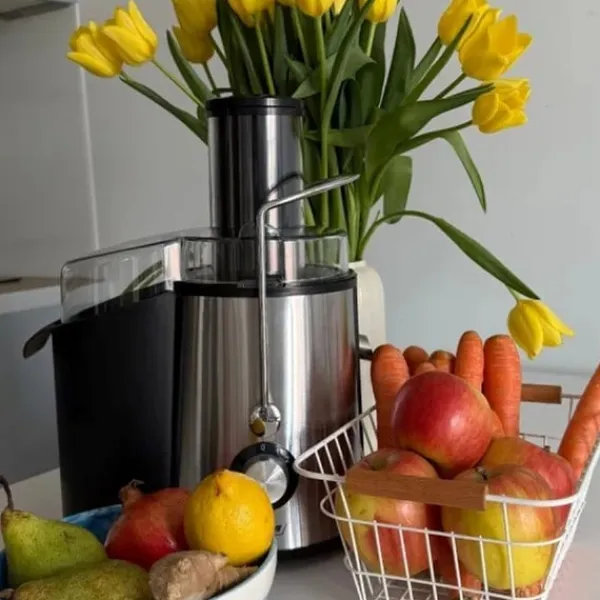MPM MSO-18-M Juicer 1000 W Sort, Sølv Sale