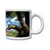 My Neighbor Totoro Krus Sale