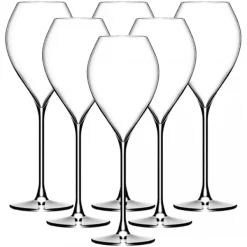 Glas>Nye Grand Champagneglas 25cl, 6-pak - Lehmann