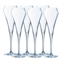 Glas>Open Up Champagneglas 20cl, 6-pak - Chef & Sommelier