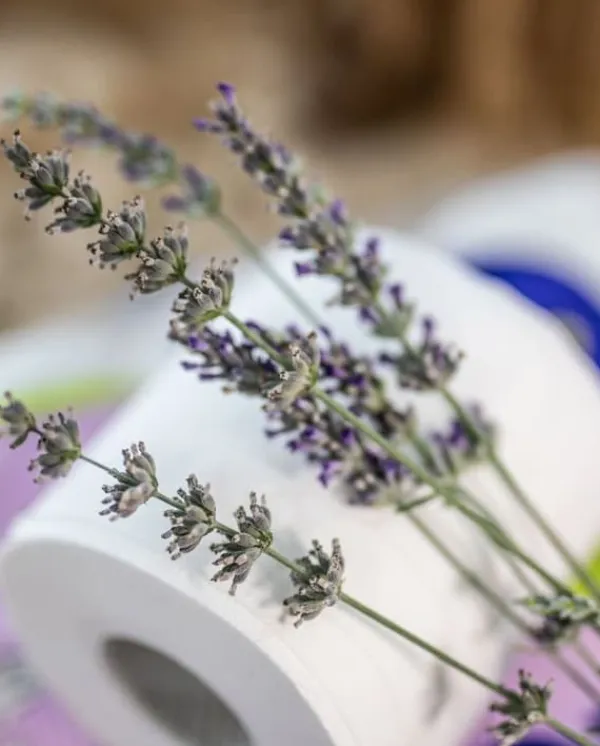 Renova Skin Care Lavender 12R Toiletpapir Discount