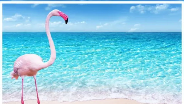 Skeer & Skovle>SKÆREBRÆT I GLAS 52x30 FLAMINGO