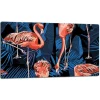 SKÆREBRÆT I GLAS 52x30 FLAMINGO New