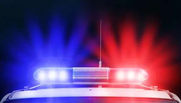 SKÆREBRÆT I GLAS 52x30 POLICE Outlet