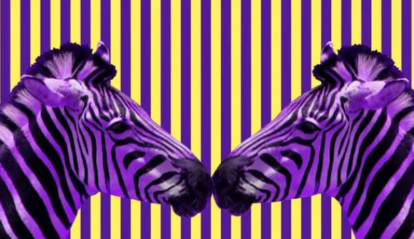 Tallerkener & Bordservicer>SKÆREBRÆT I GLAS 52x30 ZEBRA