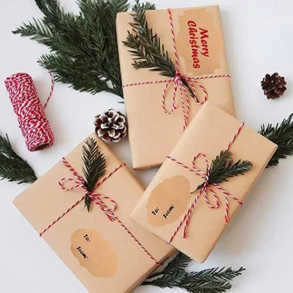 Tilbehør Til Madopbevaring>250st Kraft Paper Labels til dåser, gaver + blyant