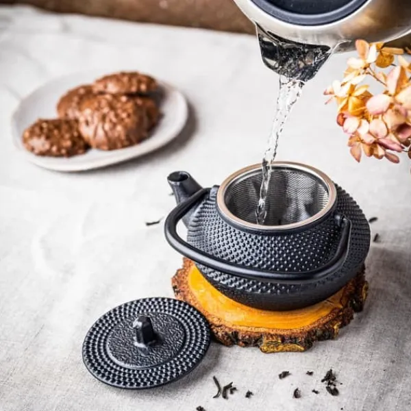 Støbejern tekande infuser 0,3L KINGHOFF KH-1817 Online