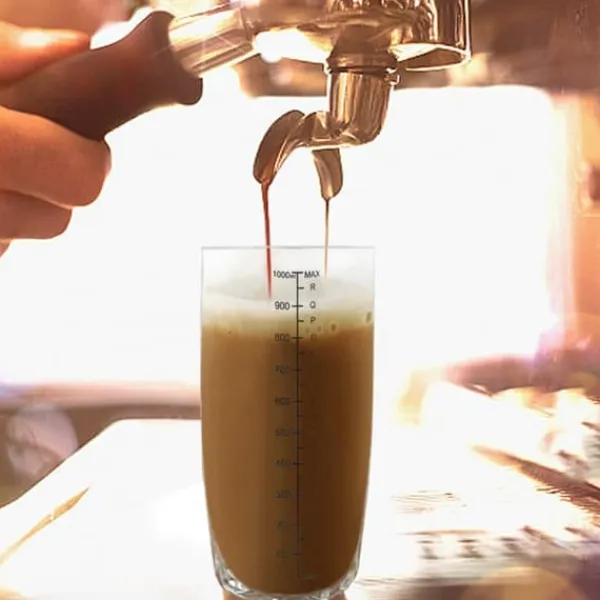 Cocktailshakers & Drinkudstyr>Transparent Anti-Lak Cocktail Shaker Mixer med Skalaværktøj (1000ml)