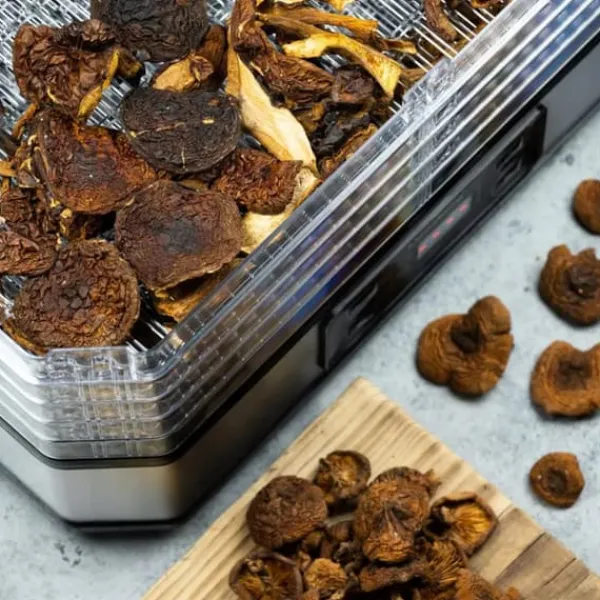 Dehydratorer>TØRRETØRRING TIL SVAMPE, FRUGT, URTER KLAUSBERG KB-7569