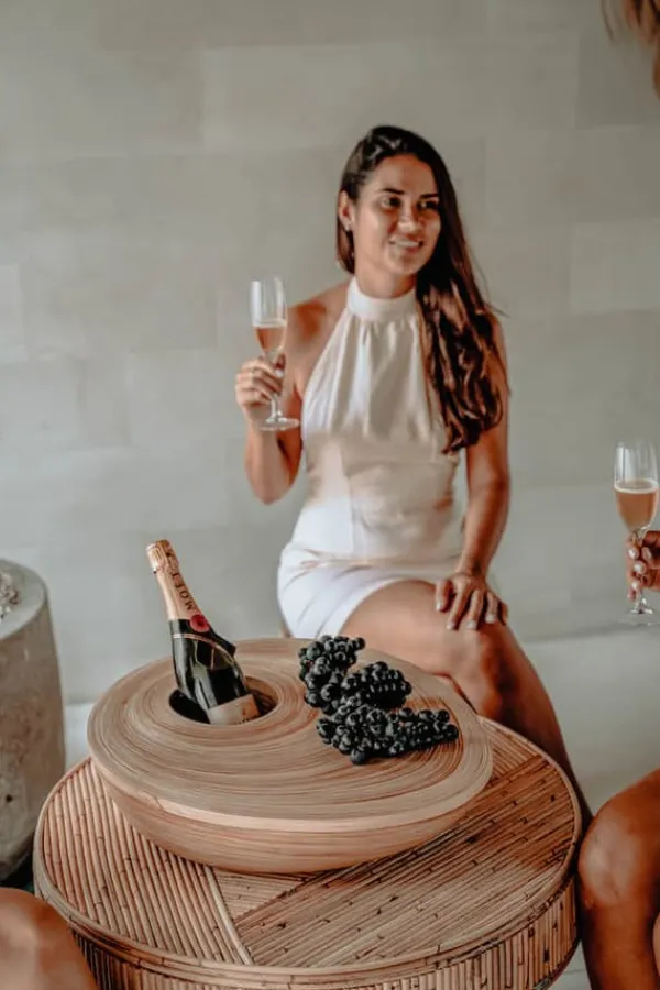 Isspande & Kølere>VIN OG SNACKTALK