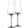 Vision Champagne glass Rich, 2-pack - Zieher Clearance